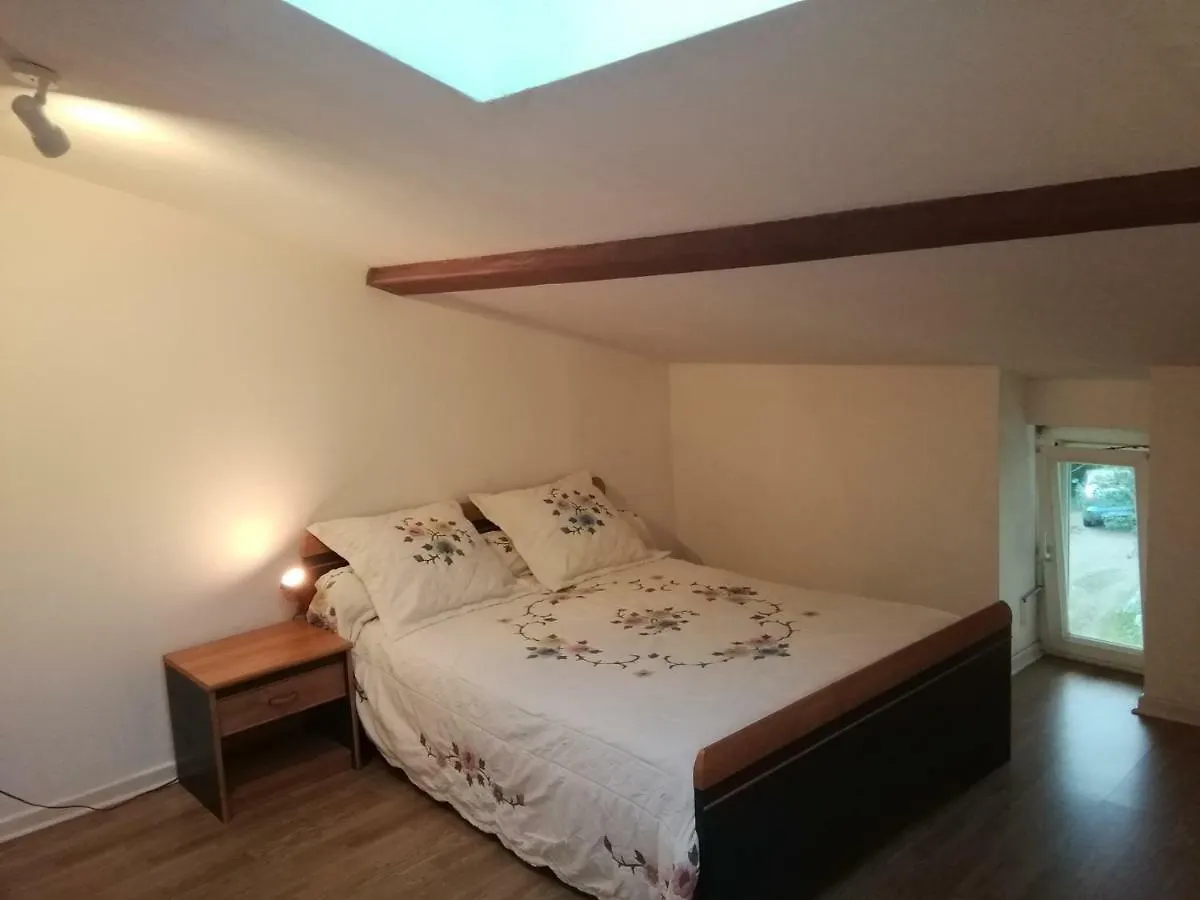 Studio Mansarde A Oyonnax 아파트